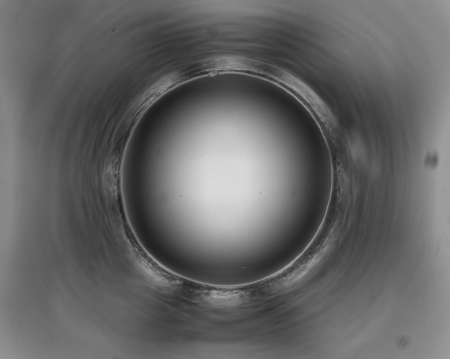 X0000097800857200803141052