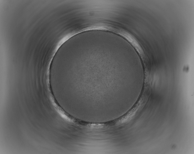 X0000097800858200803141052