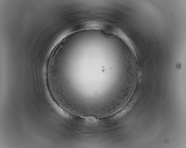 X0000097800859200803141052