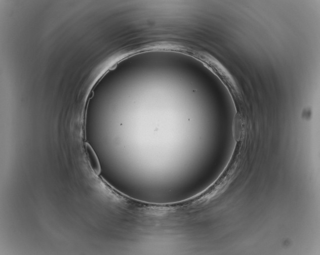 X0000097800860200803141052