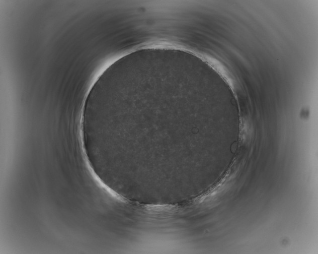 X0000097800863200803141052