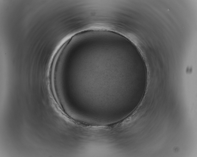 X0000097800864200803141052