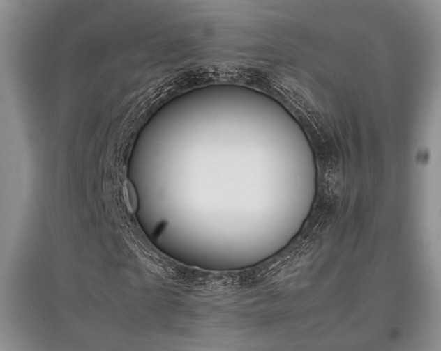 X0000097800865200803141052