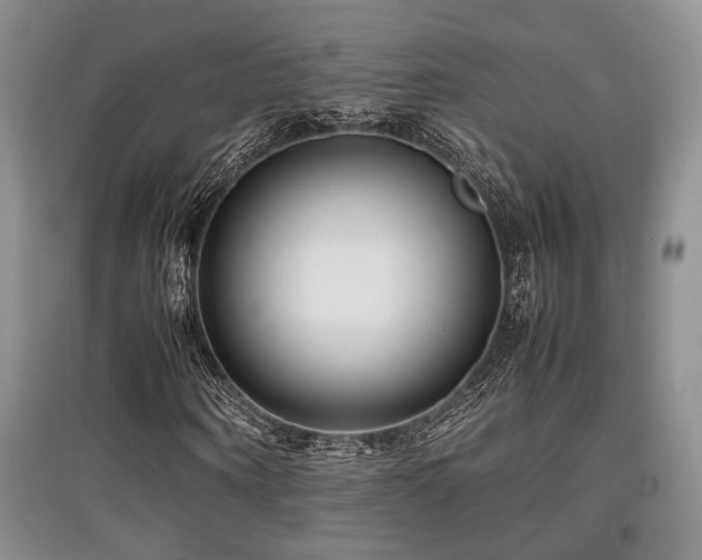 X0000097800866200803141052