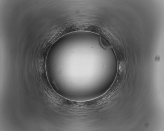 X0000097800867200803141052