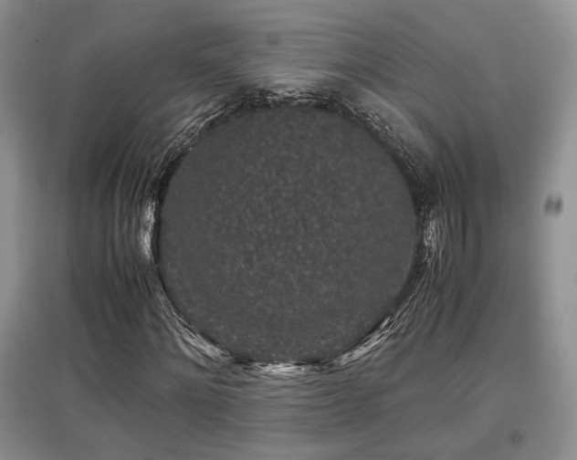 X0000097800868200803141052