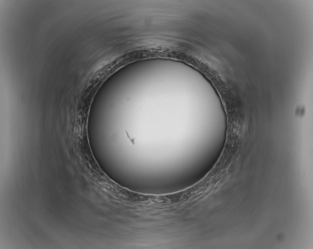 X0000097800869200803141052