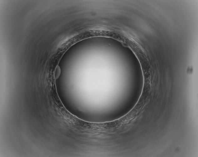 X0000097800870200803141052