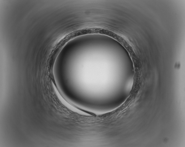 X0000097800871200803141052