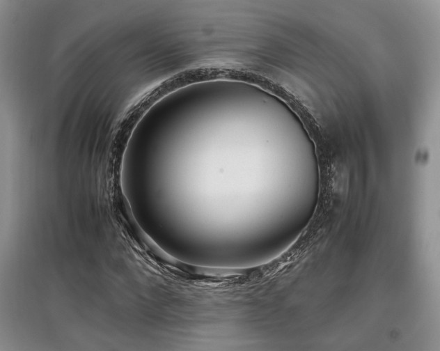 X0000097800872200803141052