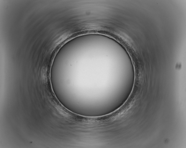 X0000097800873200803141052