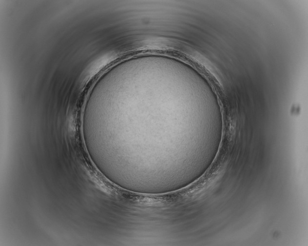 X0000097800874200803141052