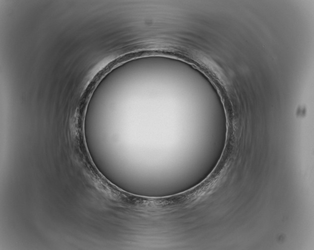 X0000097800875200803141051