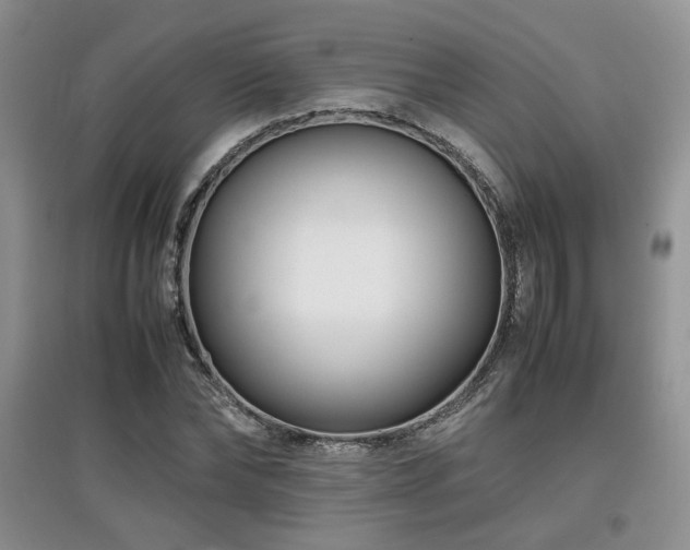 X0000097800878200803141051