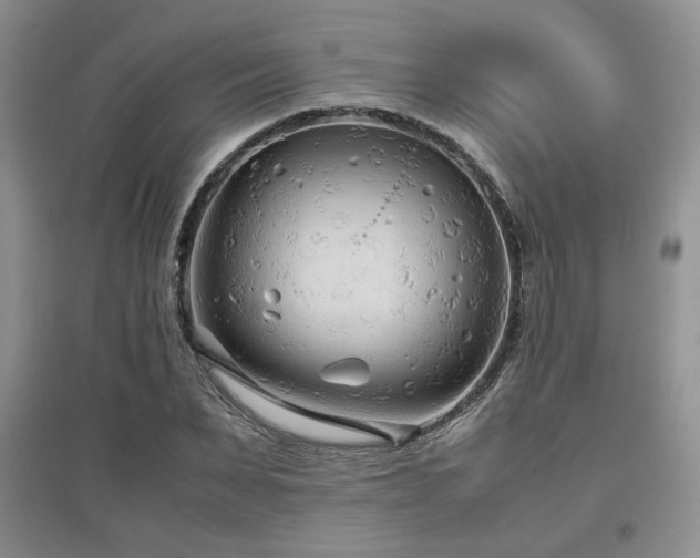 X0000097800879200803141051