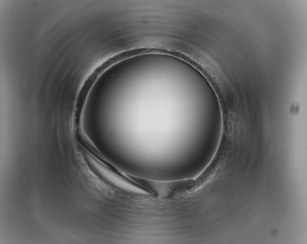 X0000097800880200803141051