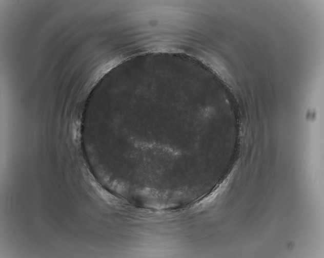 X0000097800881200803141051