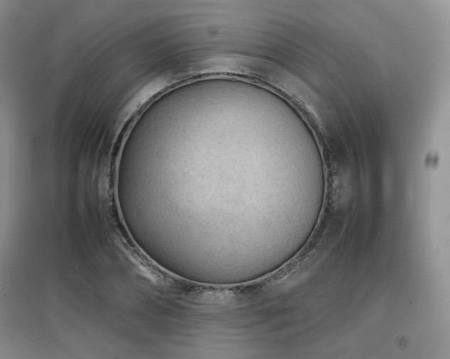 X0000097800882200803141051