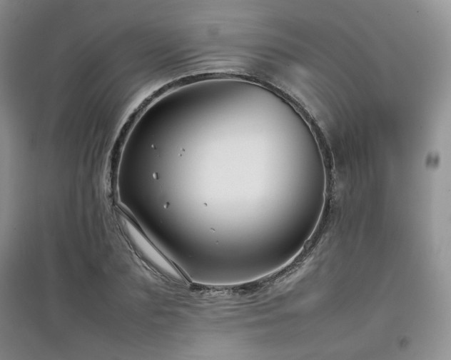 X0000097800883200803141051