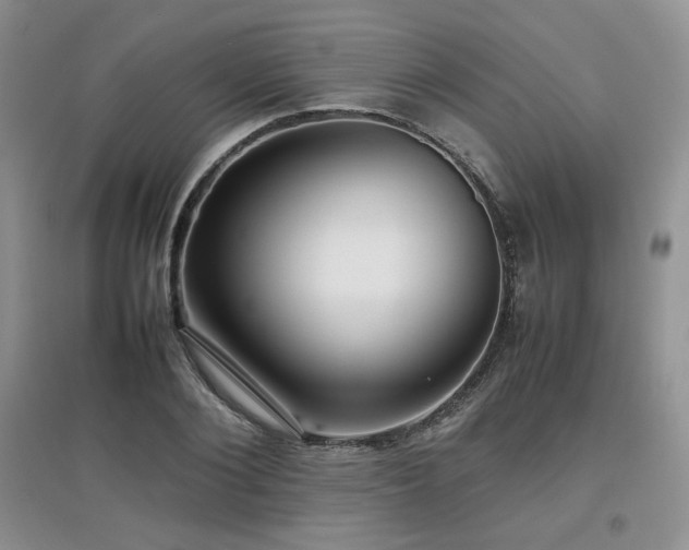 X0000097800884200803141051