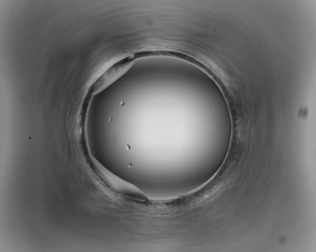 X0000097800885200803141051