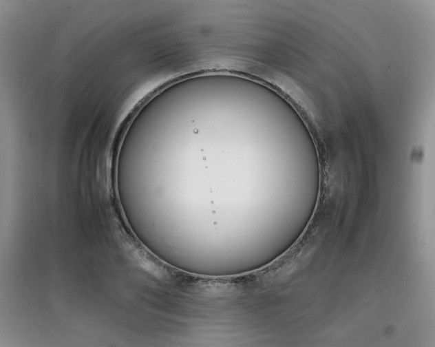 X0000097800886200803141051