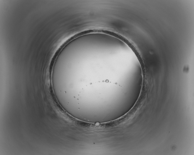 X0000097800887200803141051