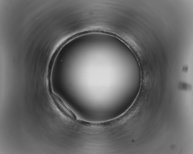 X0000097800888200803141051