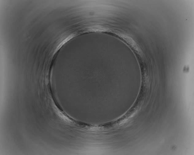 X0000097800889200803141051