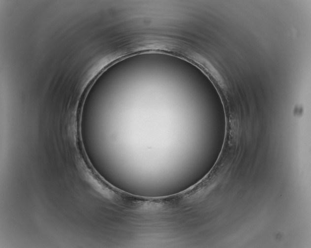 X0000097800890200803141051