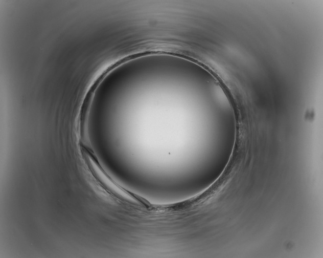 X0000097800891200803141051