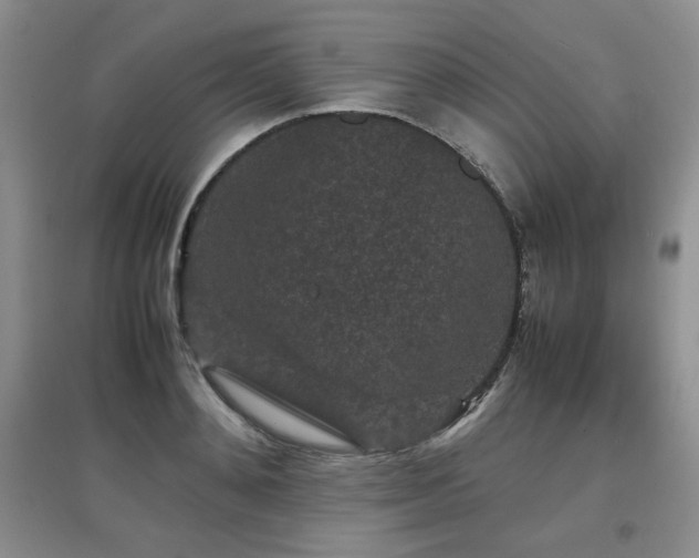 X0000097800892200803141051