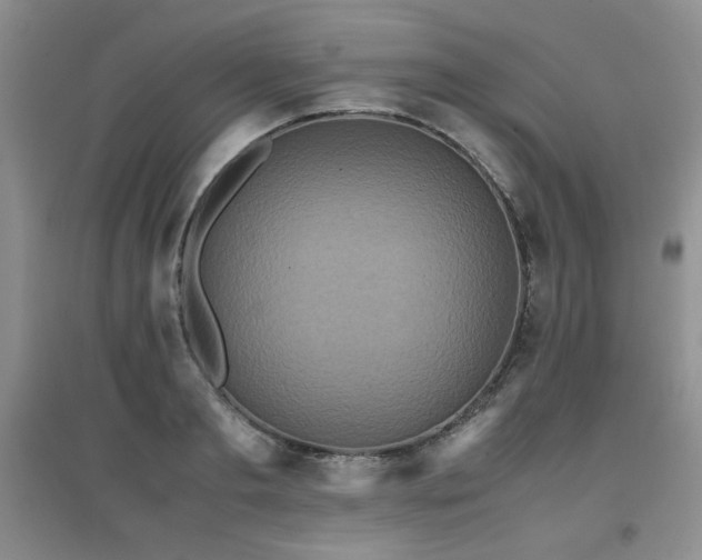 X0000097800893200803141051