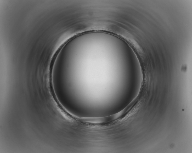 X0000097800894200803141051