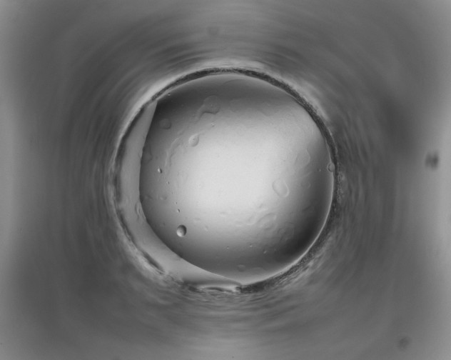 X0000097800895200803141051