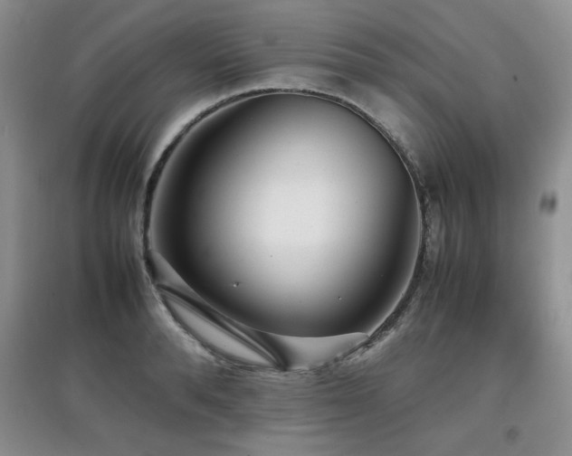 X0000097800896200803141051