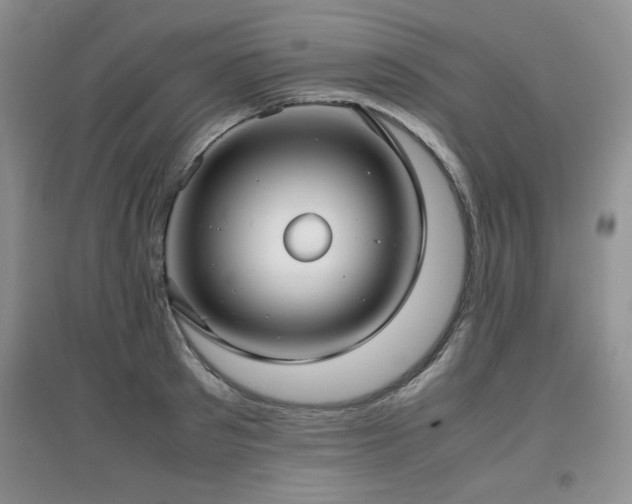 X0000097800897200803141051