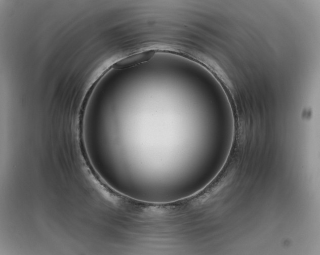 X0000097800898200803141051