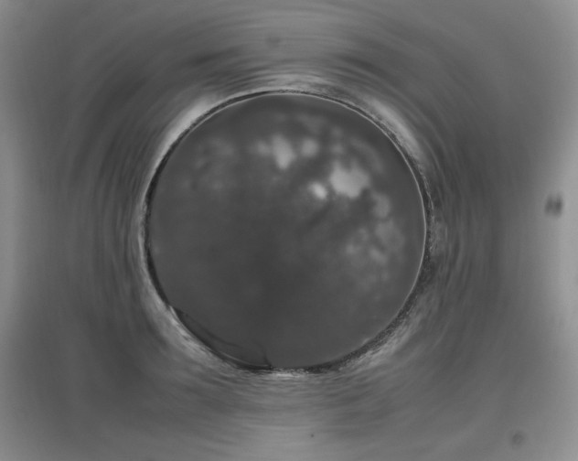 X0000097800899200803141051