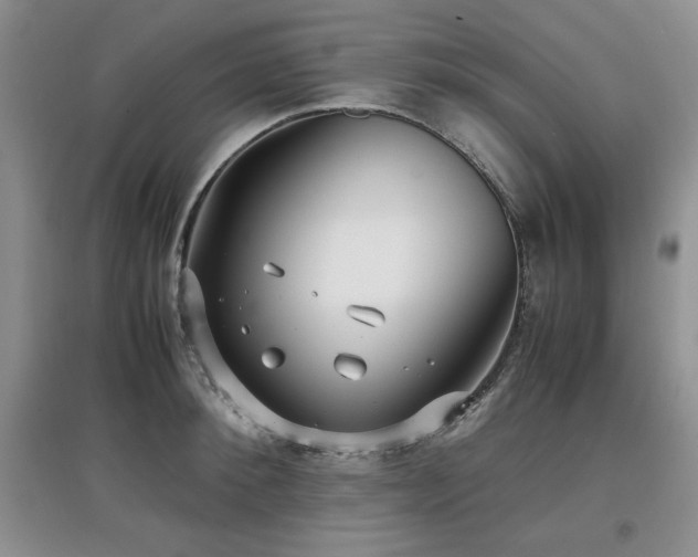 X0000097800900200803141051