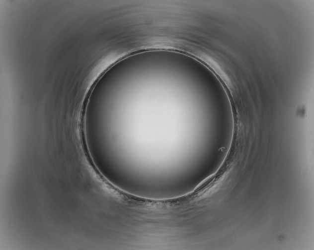 X0000097800901200803141051