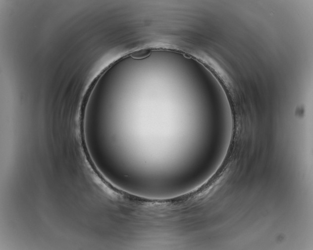 X0000097800902200803141051