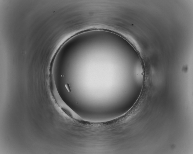 X0000097800903200803141051