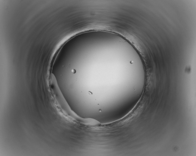 X0000097800904200803141051