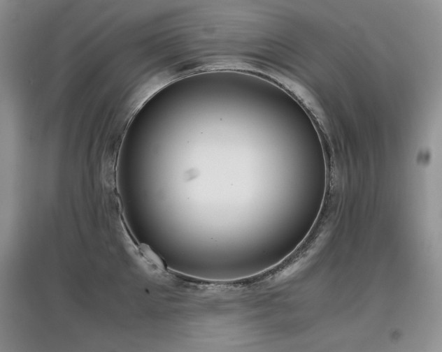 X0000097800905200803141051