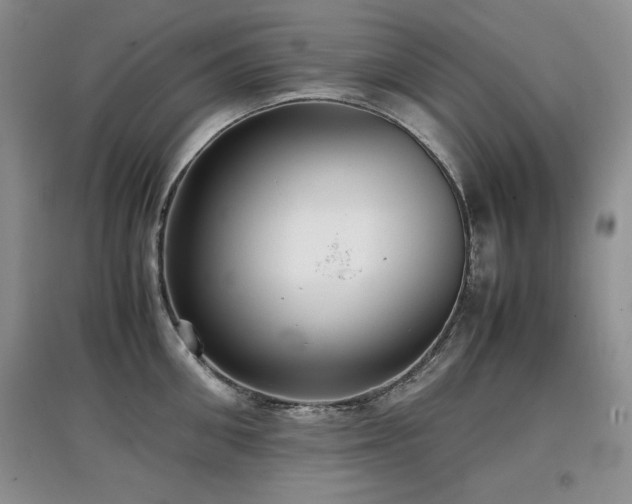 X0000097800906200803141051