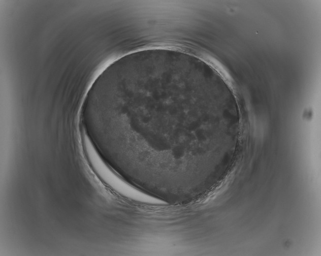 X0000097800907200803141051