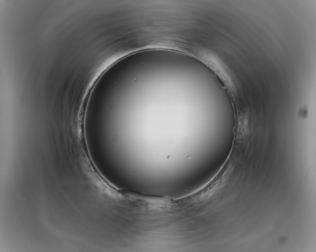 X0000097800908200803141051