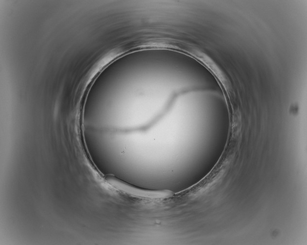 X0000097800909200803141051