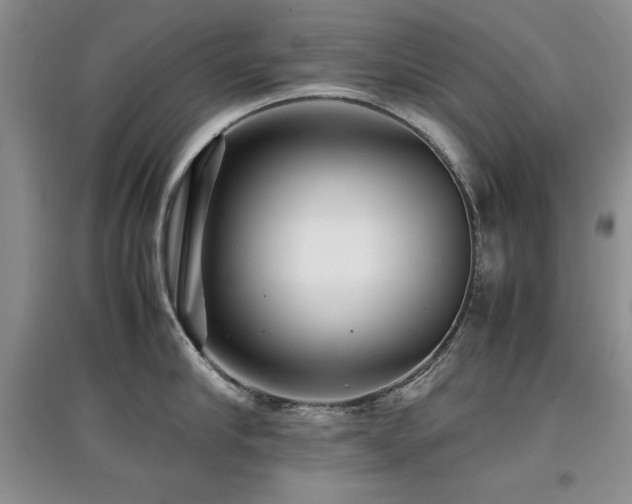 X0000097800910200803141051